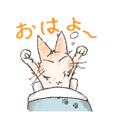 [LINEスタンプ] いろいろねこのスタンプ