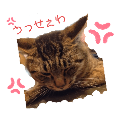 [LINEスタンプ] 太郎 の 日常⑫