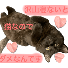 [LINEスタンプ] 黒猫 ルナ院長138にゃんめ