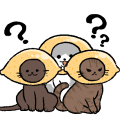 [LINEスタンプ] あなたに必要なねこ