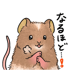 [LINEスタンプ] ふわっとテディマウス