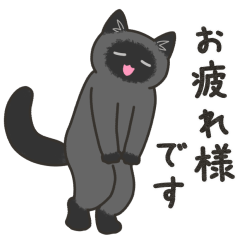 [LINEスタンプ] 40匹のねこの、みんなお疲れさま！