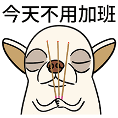 [LINEスタンプ] チワワは良い家族のペットです 37