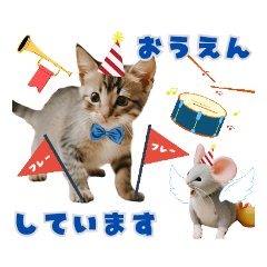 [LINEスタンプ] ニャンダフルな日々③  敬語編