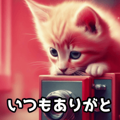 [LINEスタンプ] 子猫スタンプ。3