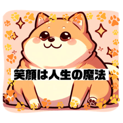 [LINEスタンプ] 太った柴犬の素敵な言葉