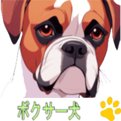 [LINEスタンプ] ボクサー犬の便利なスタンプ2
