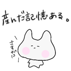 [LINEスタンプ] うさぎっぽいカナ。推活オタク