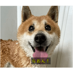 [LINEスタンプ] らおん②