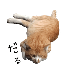 [LINEスタンプ] 野良猫 ゴンザレスの画像（メイン）