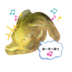 [LINEスタンプ] ふーちゃんの日常☺️part2