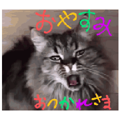 [LINEスタンプ] あぶあぶ猫ちゃんズ