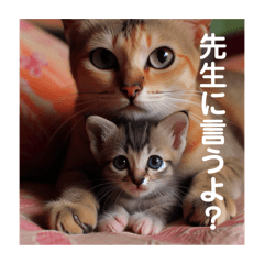 [LINEスタンプ] いじめ許さない子猫