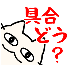 [LINEスタンプ] 体調をゆるく気遣う関西弁のネコどもの画像（メイン）
