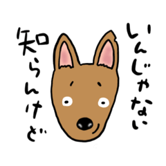 [LINEスタンプ] 雑種犬コニーのほんわかスタンプ