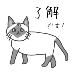 [LINEスタンプ] ロク猫スタンプ第二段(イラストver)