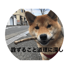 [LINEスタンプ] もなかスタンプ verson3