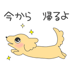 [LINEスタンプ] うちの可愛いダックスさん