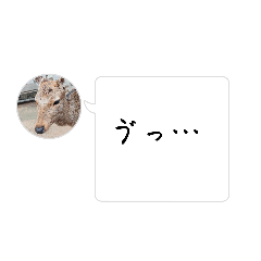 [LINEスタンプ] てんてんの多い鹿。の画像（メイン）