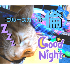 [LINEスタンプ] パニック障害とねこブルースカイの倫の画像（メイン）