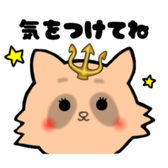 [LINEスタンプ] 推し活たぬき[三叉槍]／日常で使える