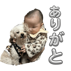 [LINEスタンプ] ベビースタンプこはねちゃん