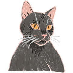 [LINEスタンプ] 色鉛筆ねこ 黒猫