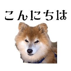 [LINEスタンプ] ソラくんですPart1の画像（メイン）