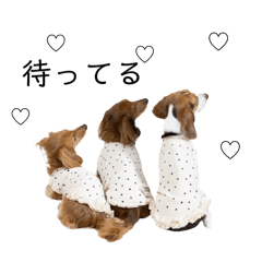 [LINEスタンプ] COCOA.SONO.EMMA♡