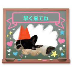 [LINEスタンプ] はんぺんさんちのブルちゃん6