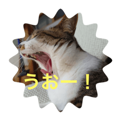 [LINEスタンプ] どんぐりゃーらいふ8