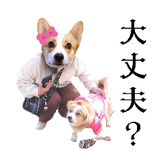 [LINEスタンプ] むろちゃんは世界を救う