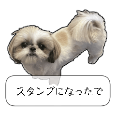 [LINEスタンプ] 忠犬ララ公