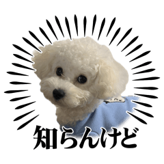 [LINEスタンプ] うどんのスタンプだよ