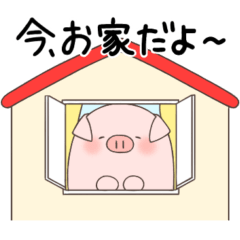 [LINEスタンプ] ぶたさん〜今〜