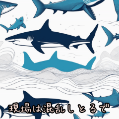 [LINEスタンプ] サメ、サメ、サメ