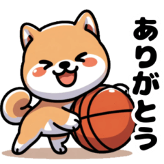 [LINEスタンプ] バスケットボール好きな柴犬