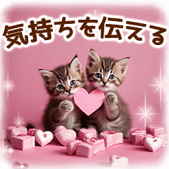 [LINEスタンプ] 気持ちを伝える♡猫とsweets♡バレンタイン