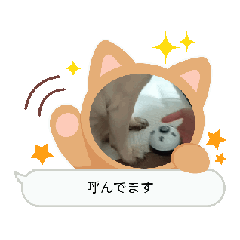 [LINEスタンプ] ぱぐかわ