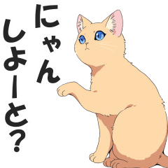 [LINEスタンプ] 博多弁の猫ばい！【方言・訛り・九州】