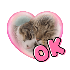 [LINEスタンプ] hapyluck3