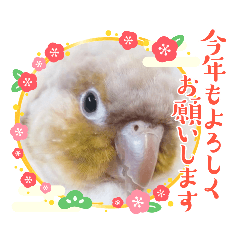 [LINEスタンプ] あげちゃんず！