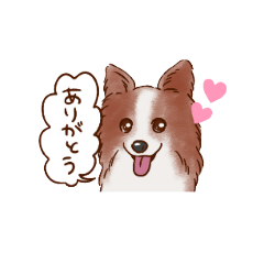 [LINEスタンプ] しらさぎ動物病院スタンプ犬