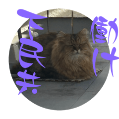 [LINEスタンプ] ウニセン2の画像（メイン）