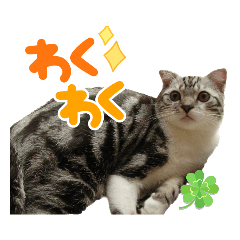 [LINEスタンプ] ソラとレオの2