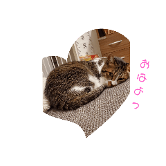 [LINEスタンプ] ろとくんスタンプ日常