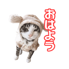 [LINEスタンプ] こてつ＆まーあスマイル