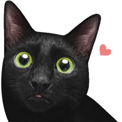 [LINEスタンプ] 苦悩の黒猫（グリーンの目Ver.）