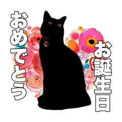 [LINEスタンプ] 黒猫ジジくんの日常会話【改訂版】