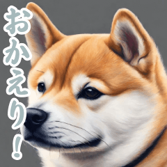 [LINEスタンプ] 柴犬スタンプW